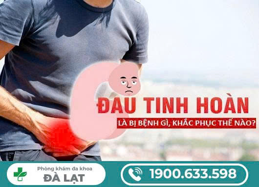 Hình ảnh minh họa